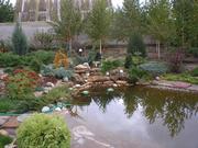 Гидросистемы, канализация,  водоотвод,  ландшафтные работы.