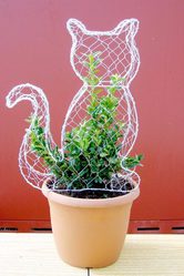 Топиары от компании «Біла Дзиґа»