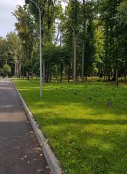 Участок под жилую застройку в лесу,  Лесопарк,  Харьков.