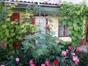 Сдам номер,  первая линия от моря,  Береговое,  Бахчисарайский район.