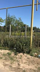 Продам шикарный участок 12 соток Санжейка,  Леонидово