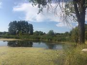 Продам участок под жилую застройку Макаровский р-н,  Грузское,  20000 $