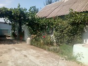 Міні-будиночек Миколаївська обл. Баштанський р-н с. Добре