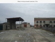 Тваринницький комплекс 8 га