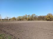 4 гектара плодородной земли