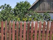 Продам дом в центре с. Санжейка