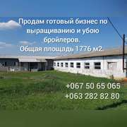 Продам готовый бизнес, помещение(бывший коровник)