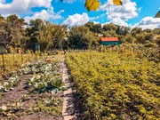 Продается дача в черте города