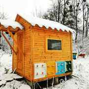 Продам Апідомік VIP класа, модель №1, №2, №3 и №4