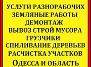 Уборка, планировка участка, спил дерева,  , вывоз мусора Одеса