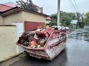 Уборка, планировка участка, спил дерева,  , вывоз мусора Одеса