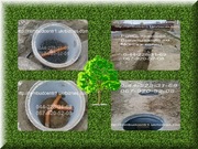 Продажа бетонных колец, крышек и днищ.