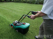 Озеленение,  ландшафтный и фитодизайн Николаев